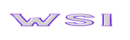 transperant-worthservices-logo